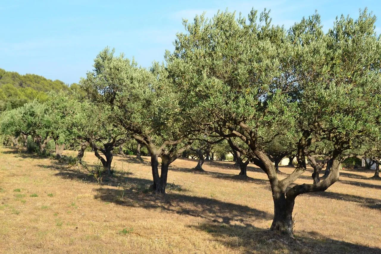 La Villa Provencale Lorgues Frankrijk